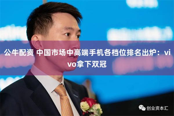 公牛配资 中国市场中高端手机各档位排名出炉：vivo拿下双冠