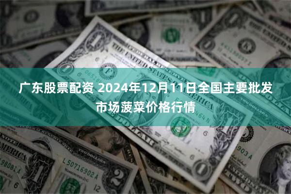 广东股票配资 2024年12月11日全国主要批发市场菠菜价格行情