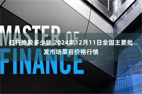 杠杆炒股多少钱 2024年12月11日全国主要批发市场菜苔价格行情