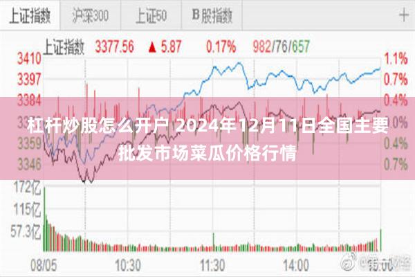 杠杆炒股怎么开户 2024年12月11日全国主要批发市场菜瓜价格行情