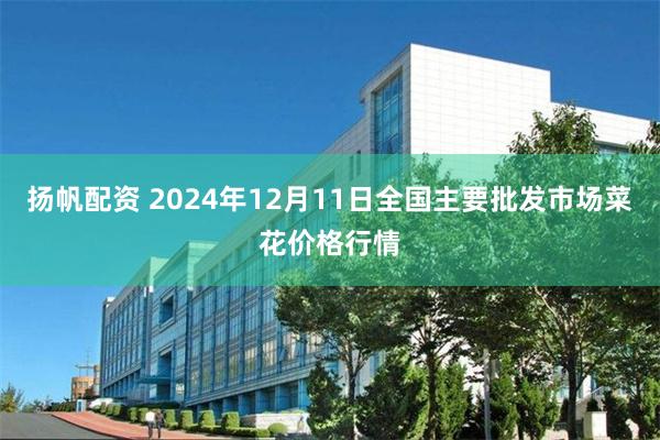 扬帆配资 2024年12月11日全国主要批发市场菜花价格行情