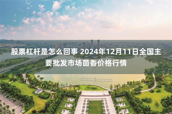 股票杠杆是怎么回事 2024年12月11日全国主要批发市场茴香价格行情