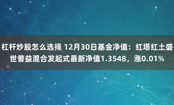 杠杆炒股怎么选择 12月30日基金净值：红塔红土盛世普益混合发起式最新净值1.3548，涨0.01%