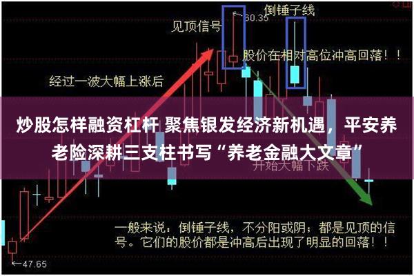 炒股怎样融资杠杆 聚焦银发经济新机遇，平安养老险深耕三支柱书写“养老金融大文章”