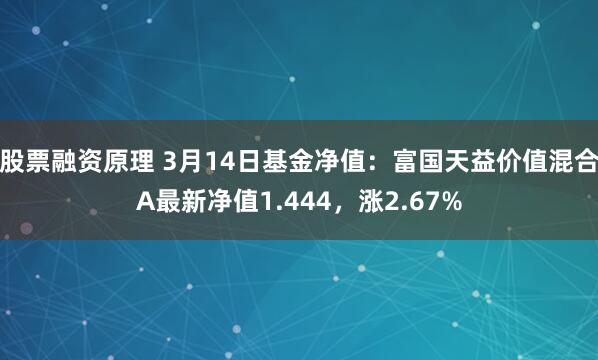 股票融资原理 3月14日基金净值：富国天益价值混合A最新净值1.444，涨2.67%